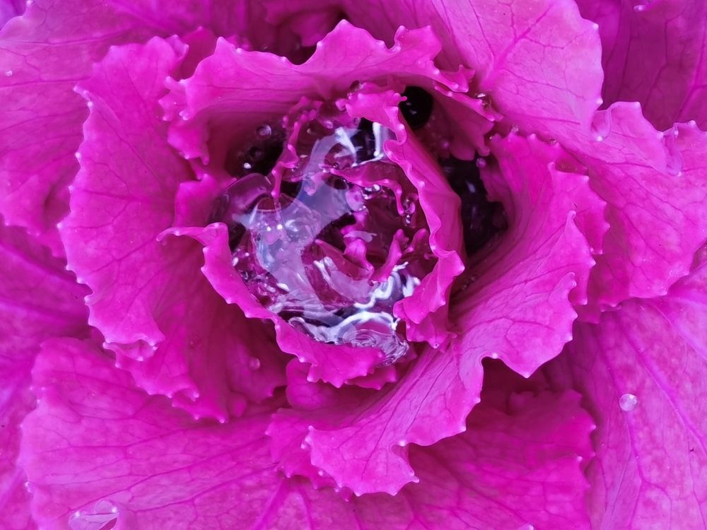 Photograph by Galina Belinskya