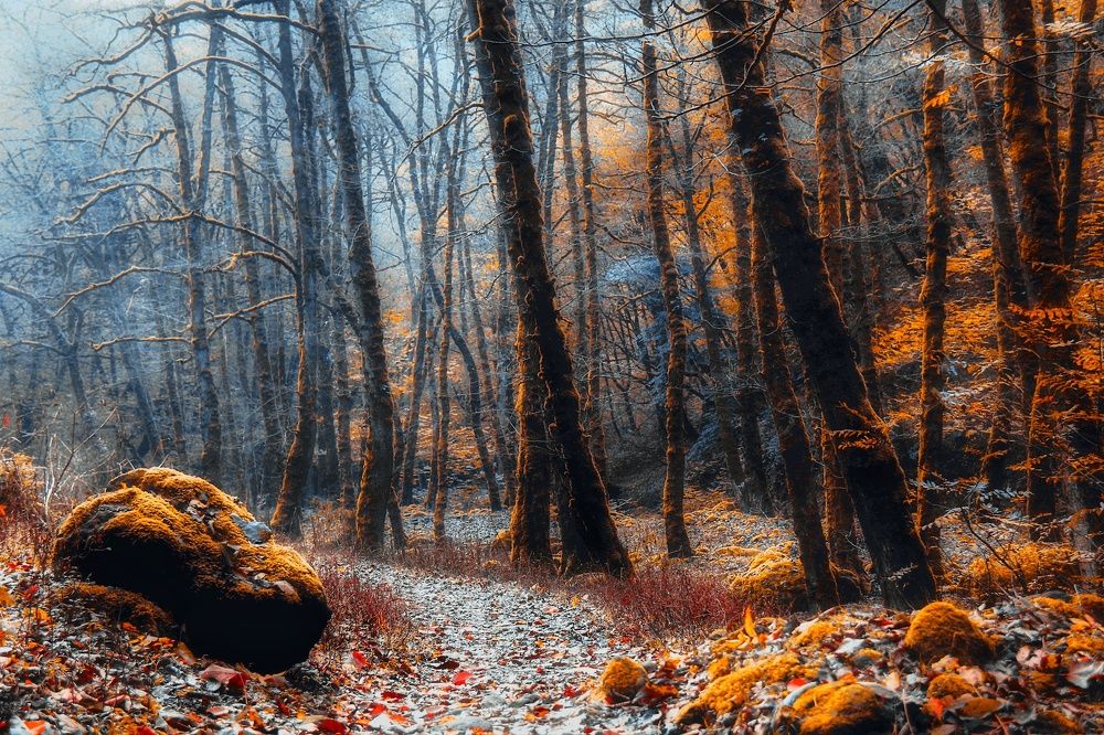 Photograph by Maghsoud Moradi