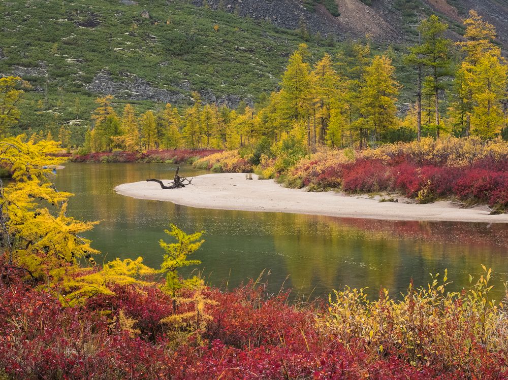 Photograph by Марина Маликова