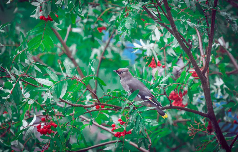 Photograph by Амосова Анастасия