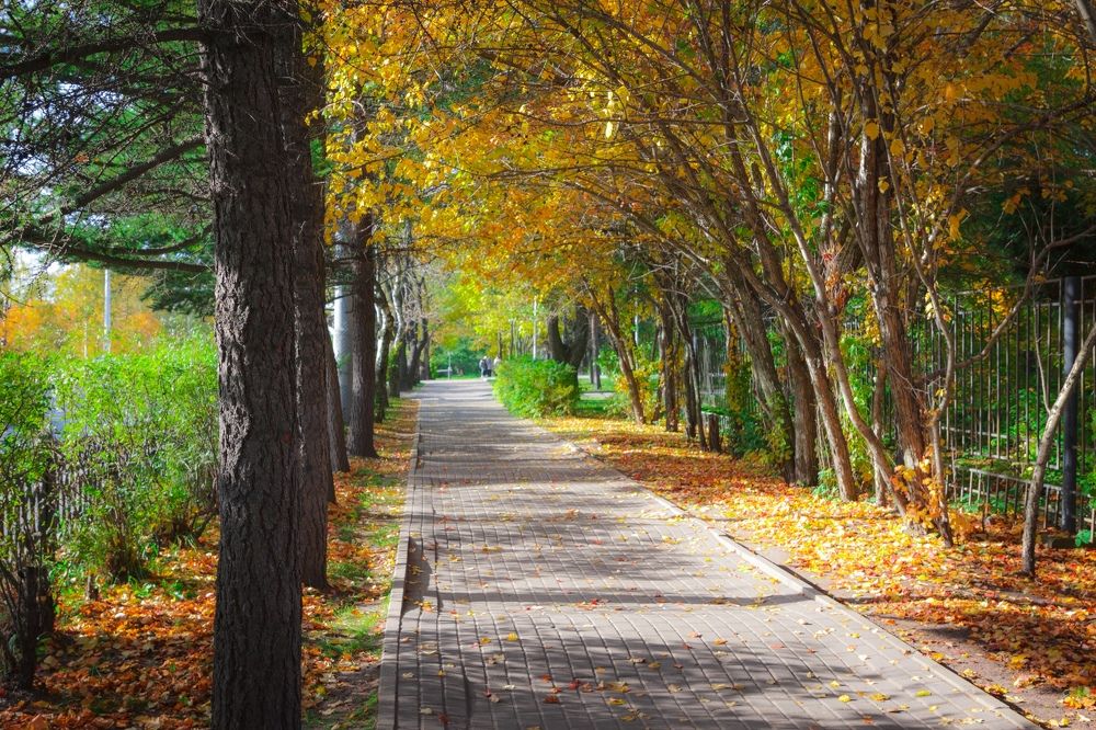 Photograph by Амосова Анастасия