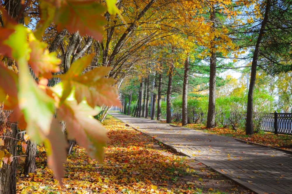 Photograph by Амосова Анастасия