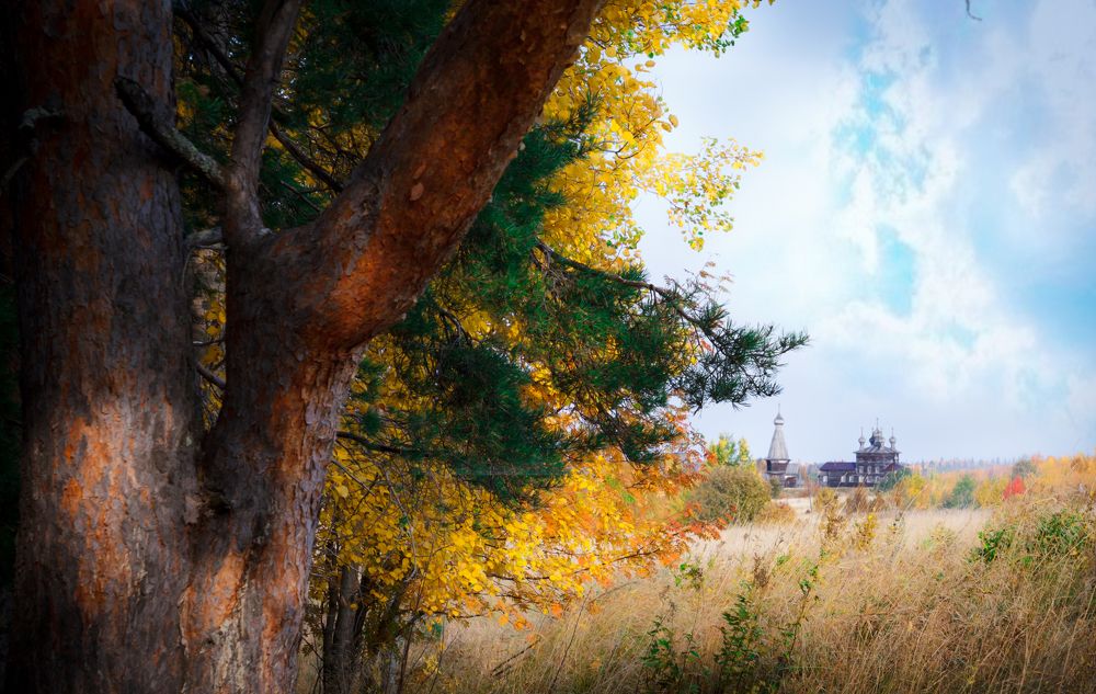 Photograph by Амосова Анастасия