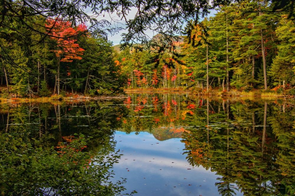 Photograph by Elaina Holland