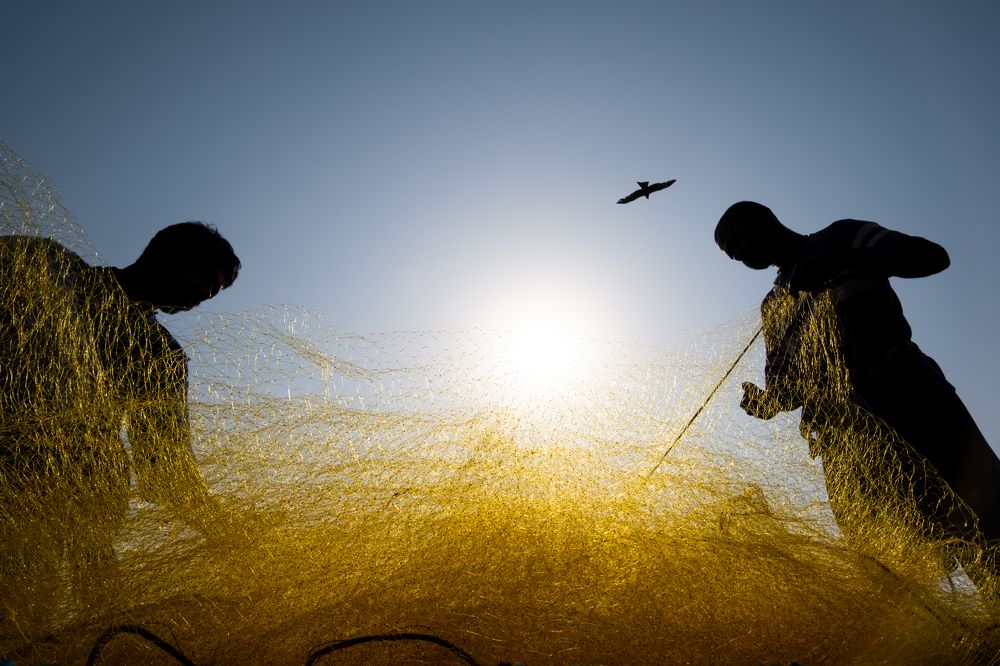 Photograph by Chetan Verma