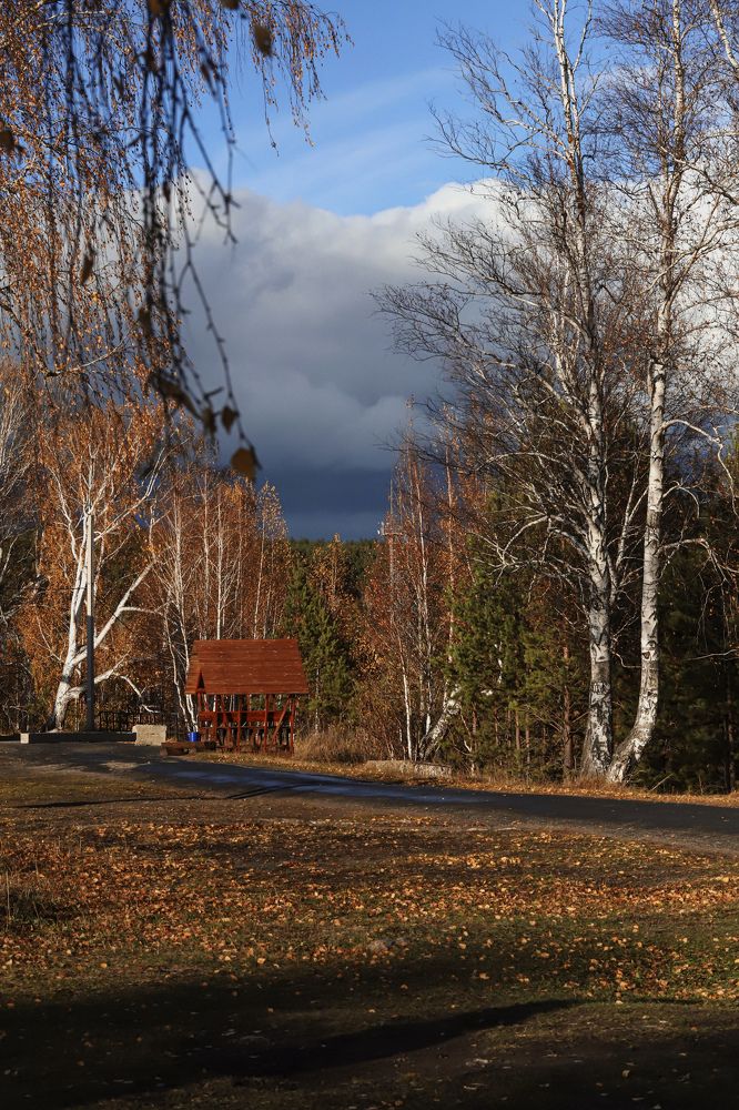 Фотография автора Светлана Цудзевич
