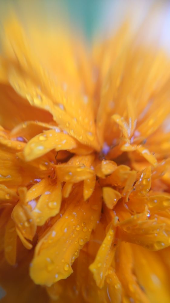 Photograph by K.AKILA NIDUSH