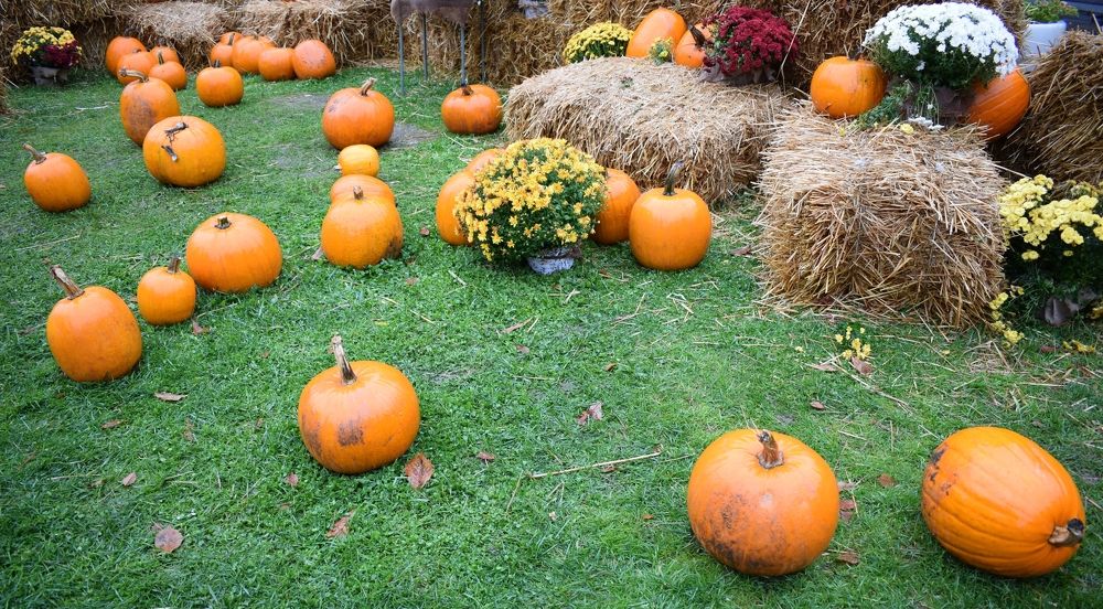 Photograph by Vyacheslav Popov