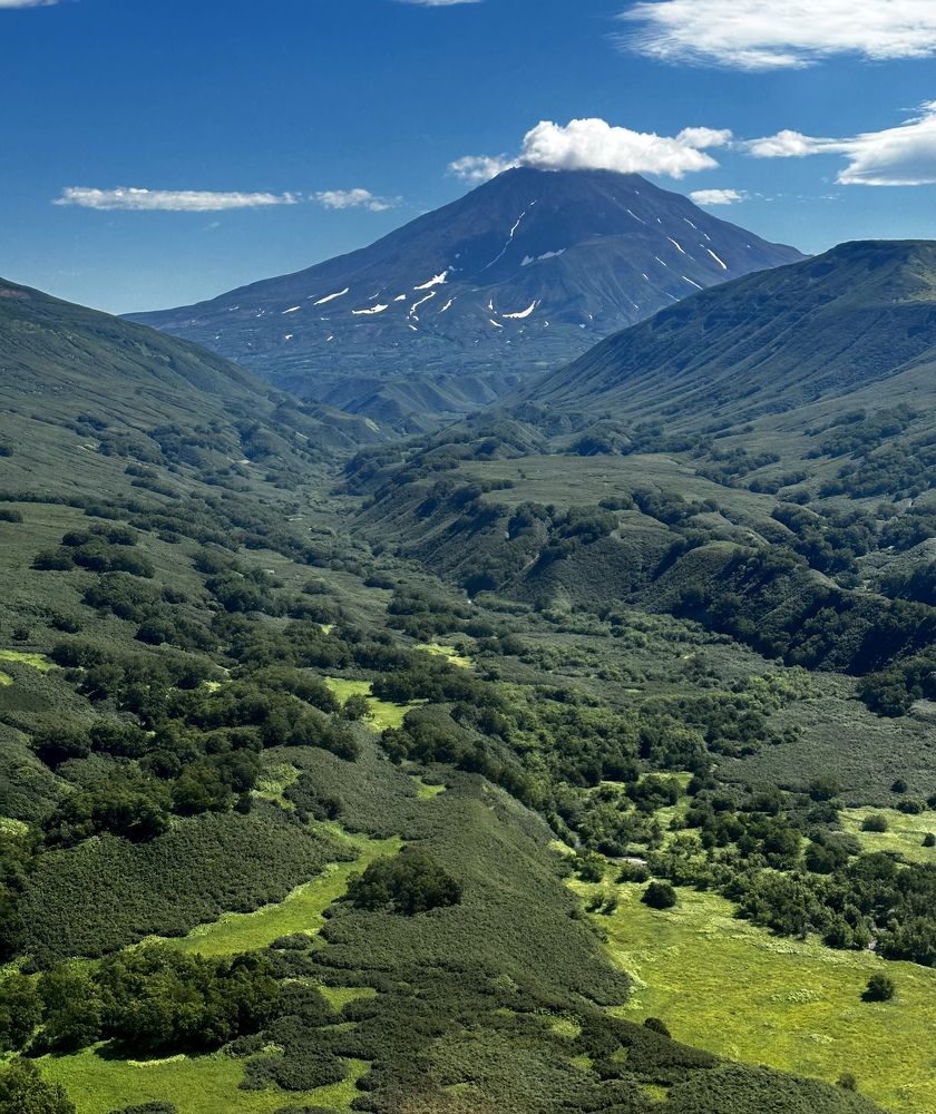 Фотография автора Яврова Татьяна