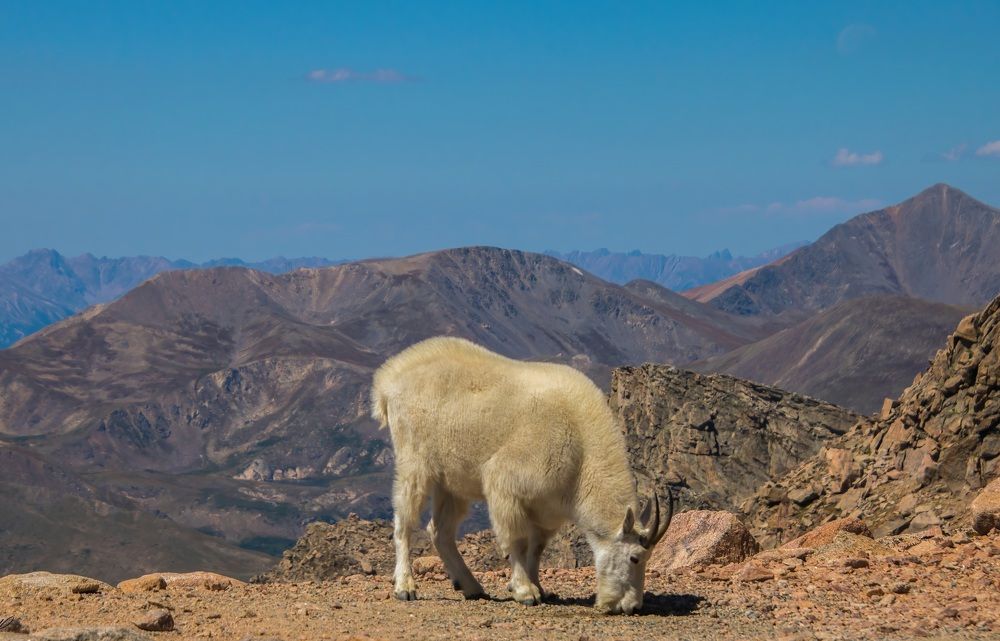 Photograph by Elaina Holland