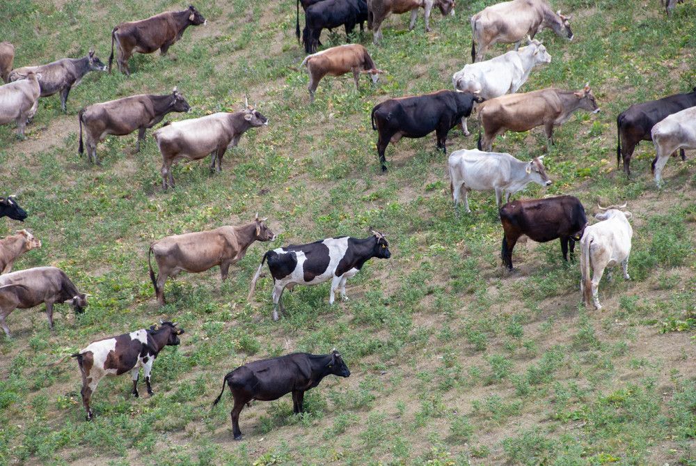 Фотография автора Сергей Рыженко