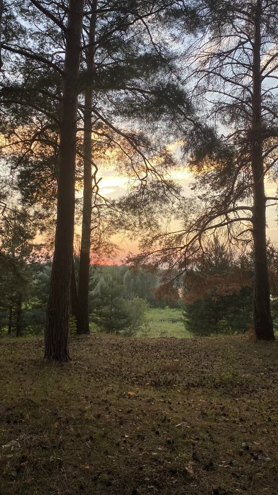 Краски ? осени