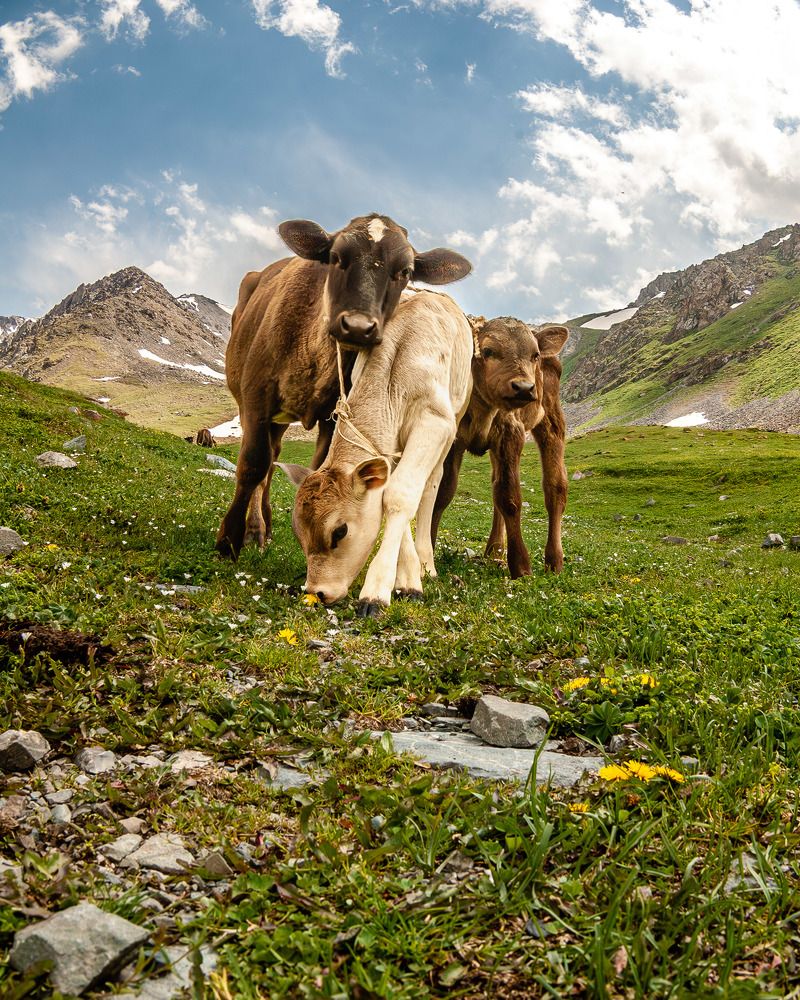 Фотография автора Сергей Рыженко