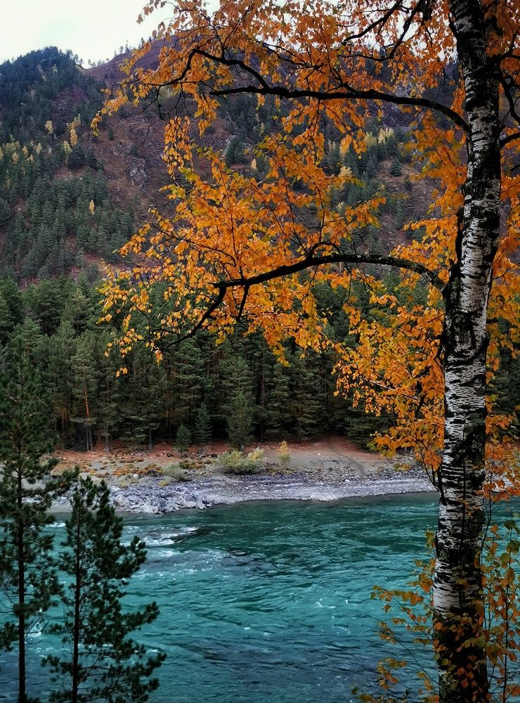 Photograph by Елена Кононенко