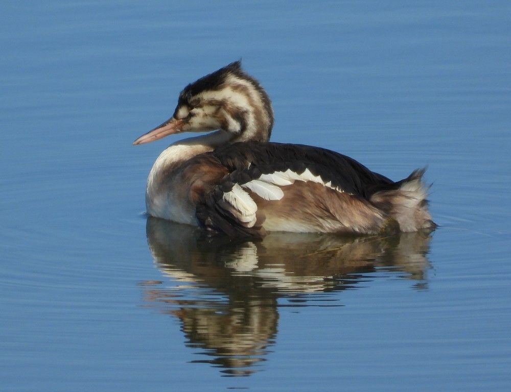 Photograph by Владимир Джерихов