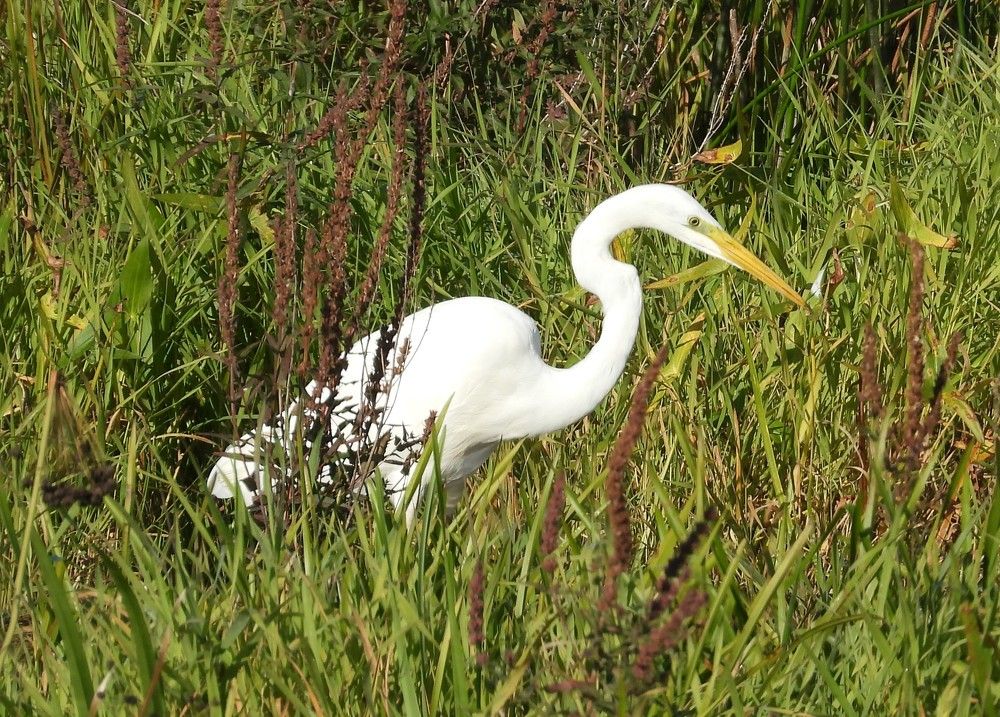 Photograph by Владимир Джерихов
