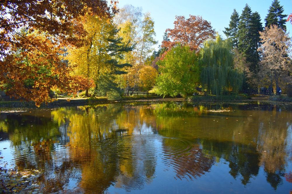 Приказка за Есента и Езерото