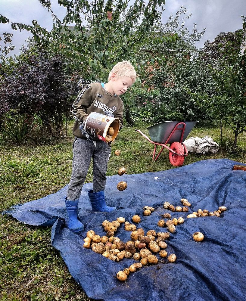 Photograph by Ольга Мартьянова