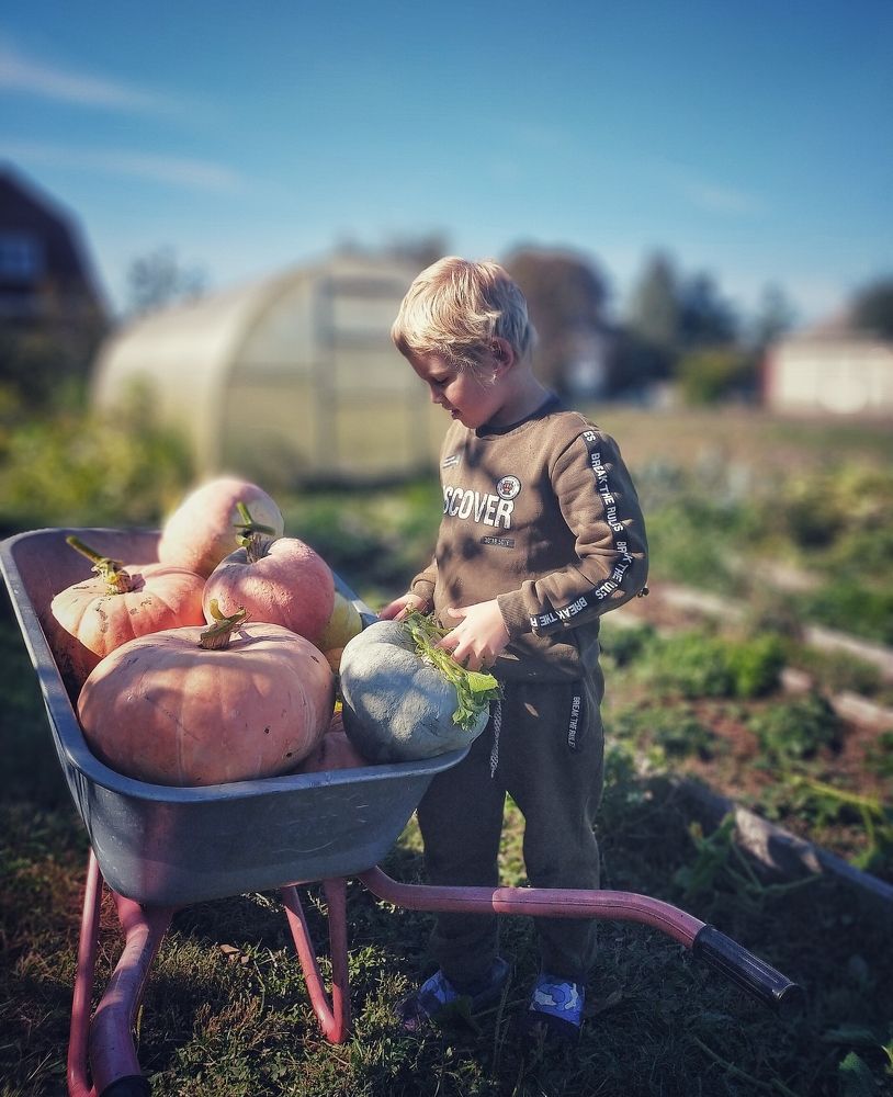 Photograph by Ольга Мартьянова