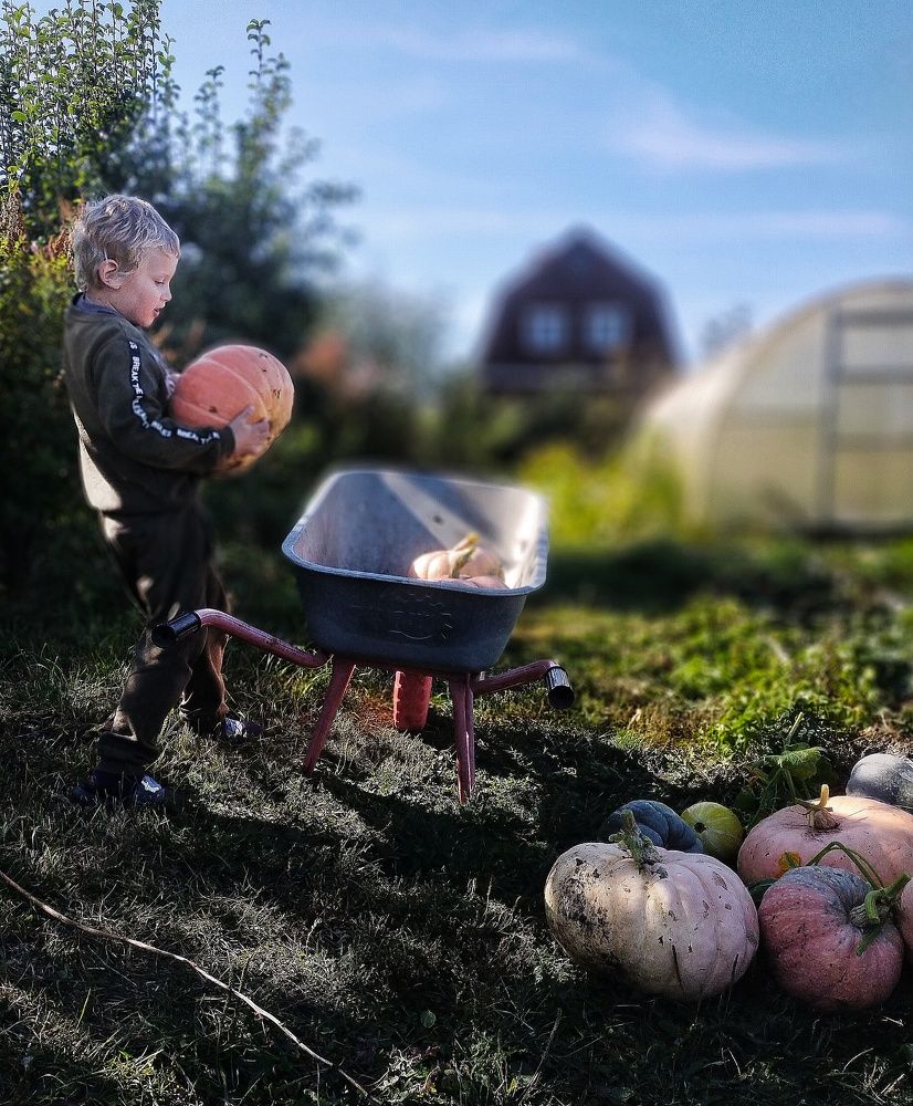 Photograph by Ольга Мартьянова