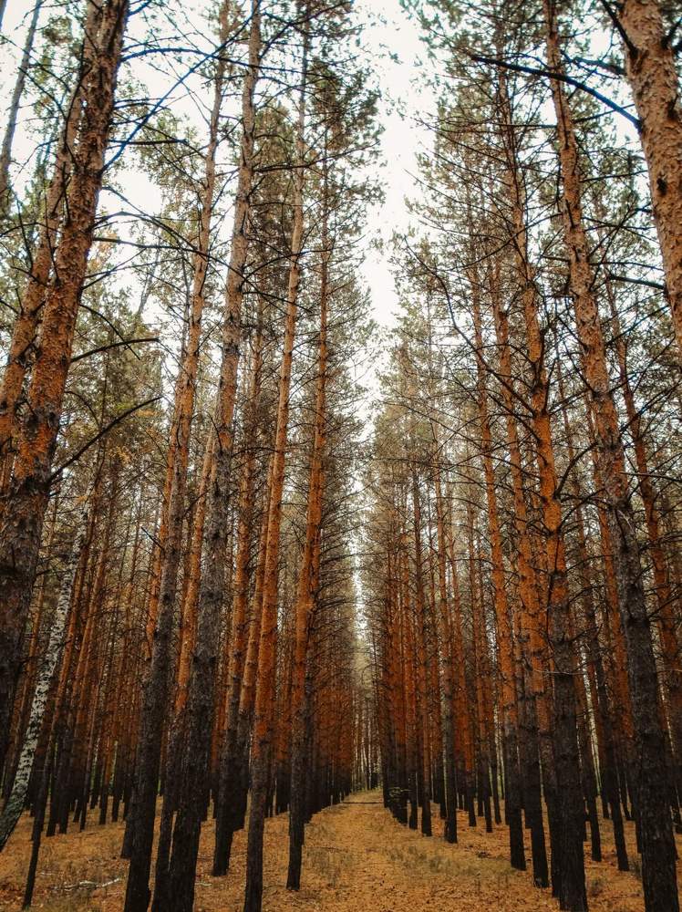 Photograph by Анжелика Трошина