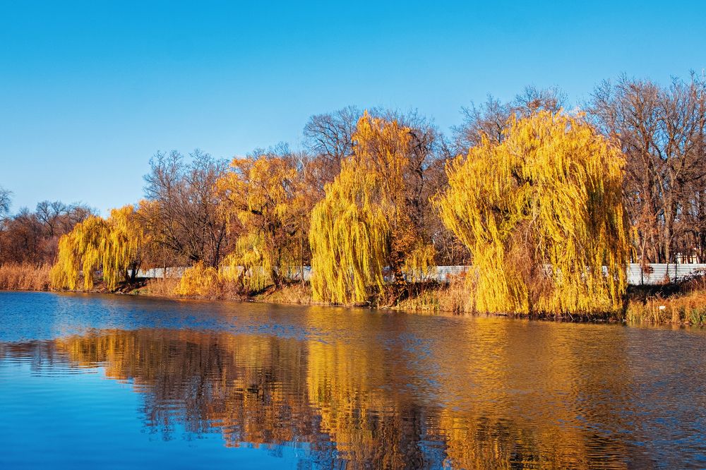 Photograph by Андрей Барышников