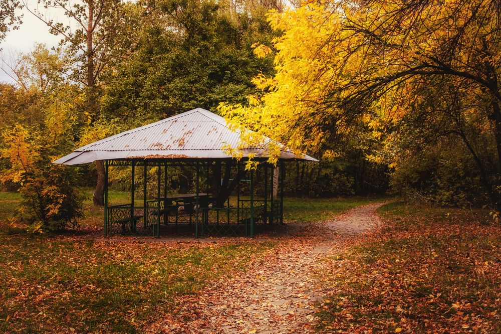 Photograph by Андрей Барышников