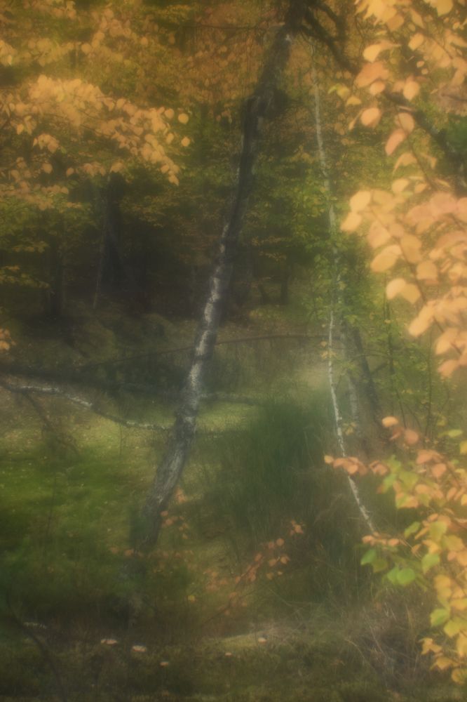 Photograph by Татьяна Блохина