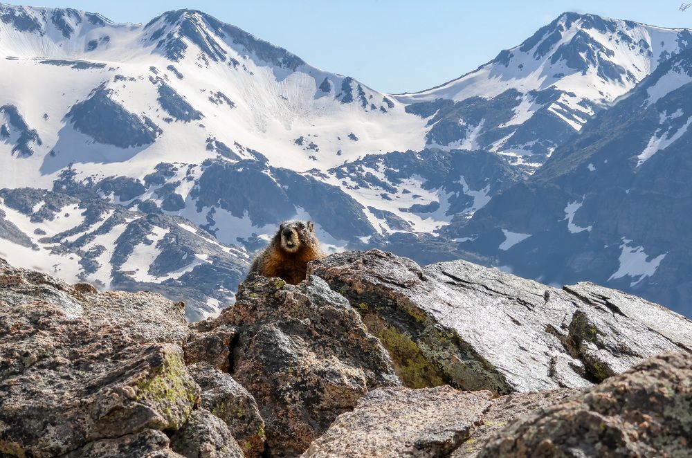 Photograph by Elaina Holland