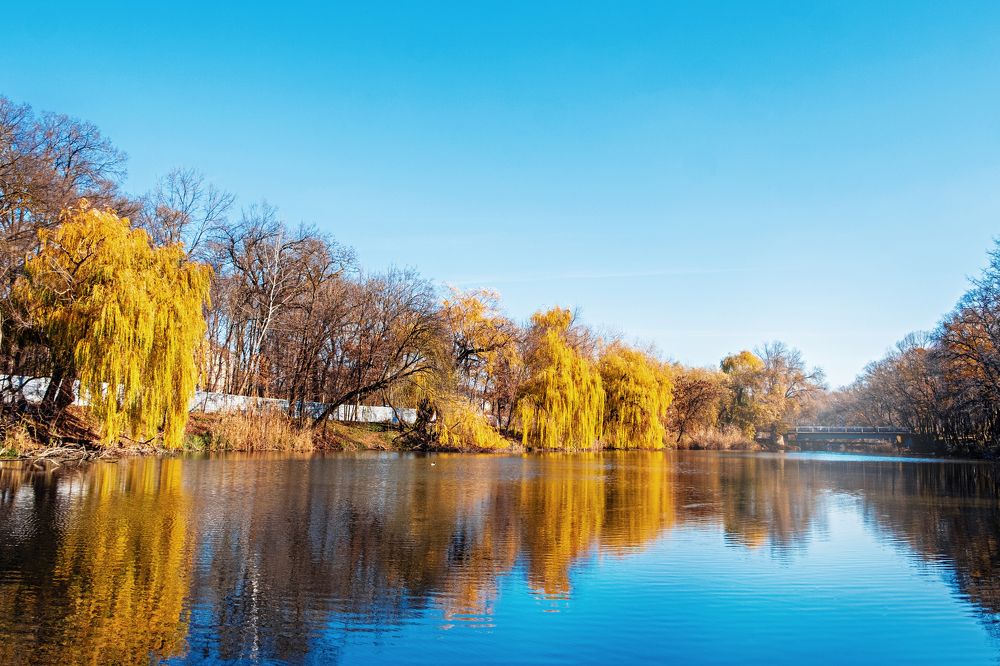 Photograph by Андрей Барышников