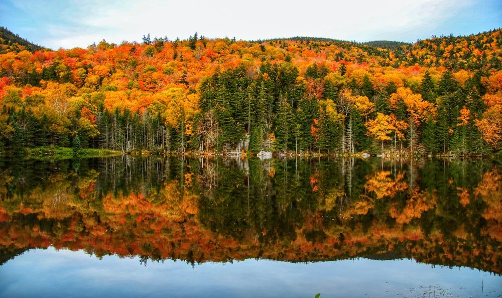 Photograph by Elaina Holland