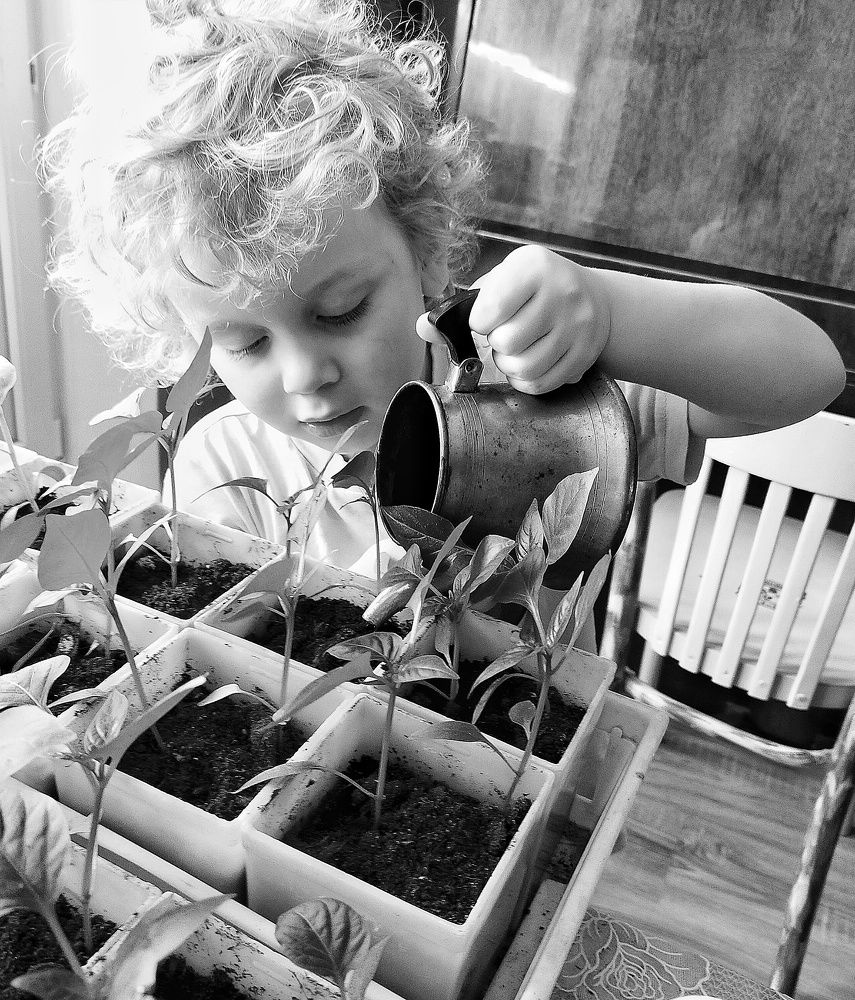 Photograph by Ольга Мартьянова