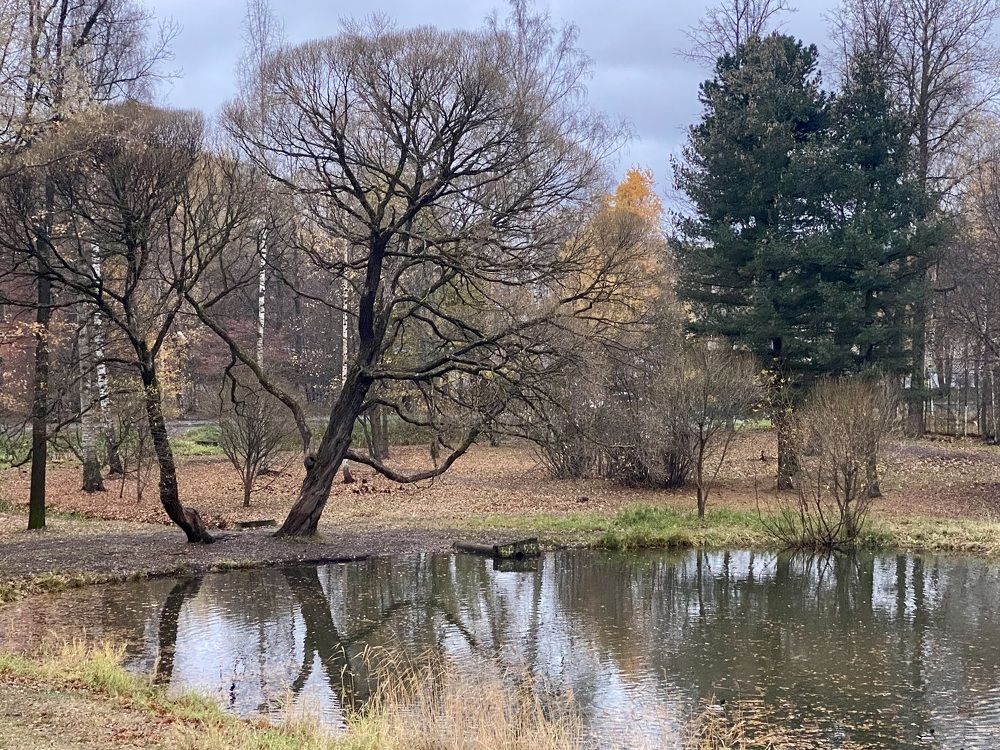 Photograph by Ольга Щербакова