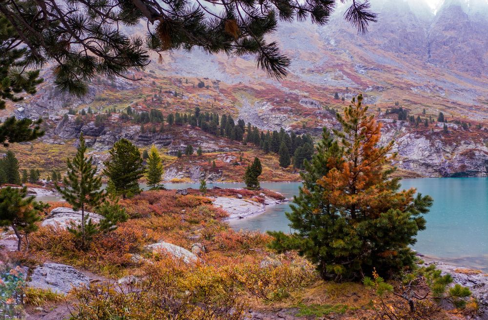 Фотография автора Евгений Дядькин