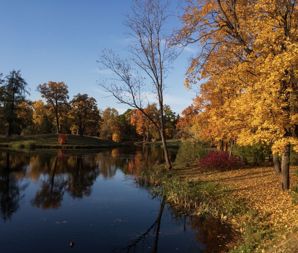 Photograph by Ольга Щербакова