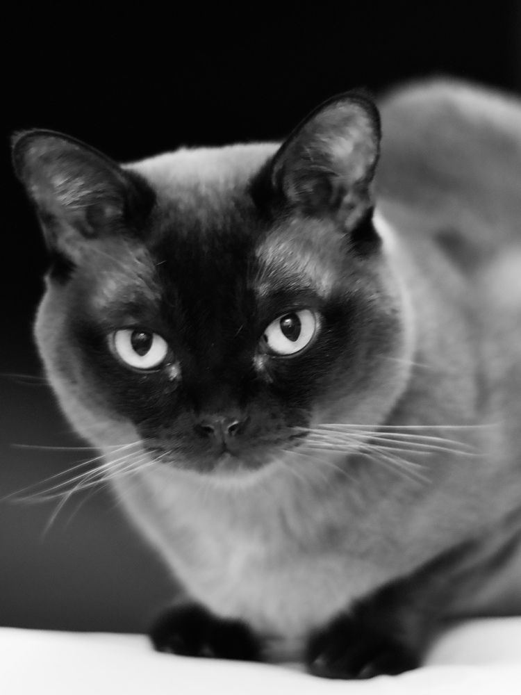 Photograph by Светлана Георкова