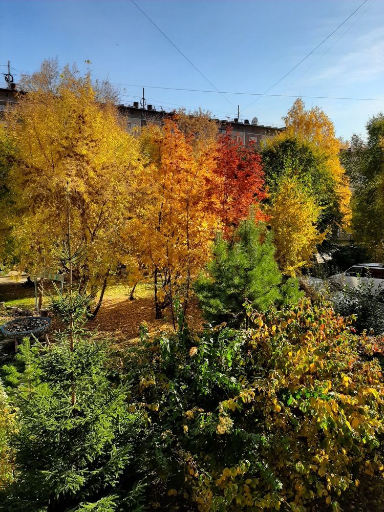 Photograph by Елена Горева