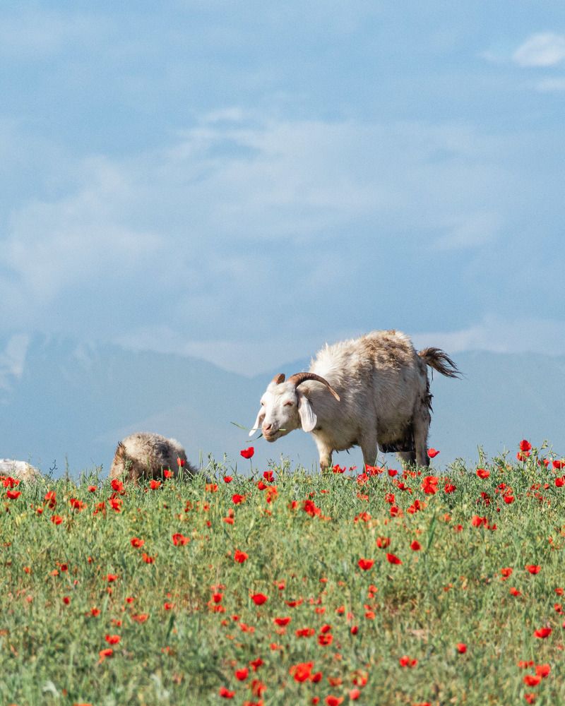 Фотография автора Сергей Рыженко