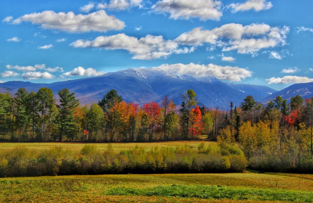 Photograph by Elaina Holland