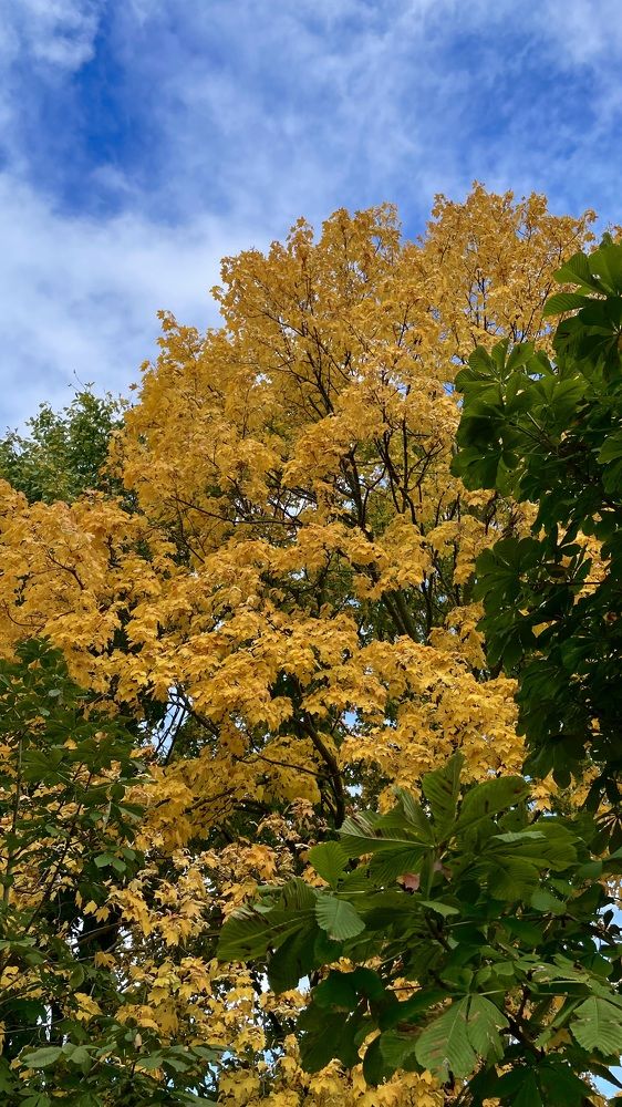 Photograph by Елизавета Большакова