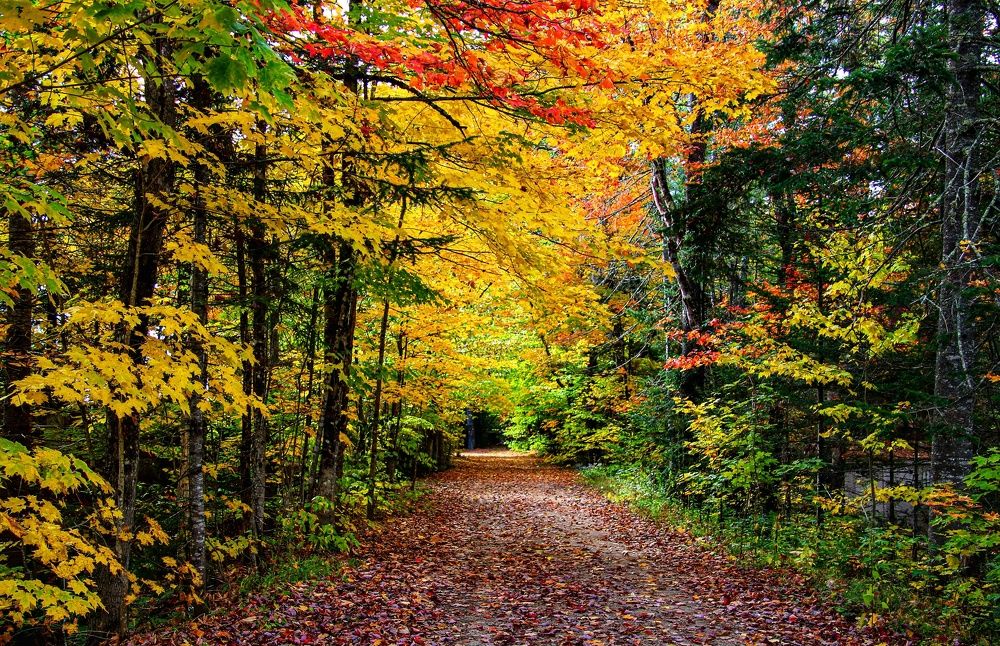 Photograph by Elaina Holland