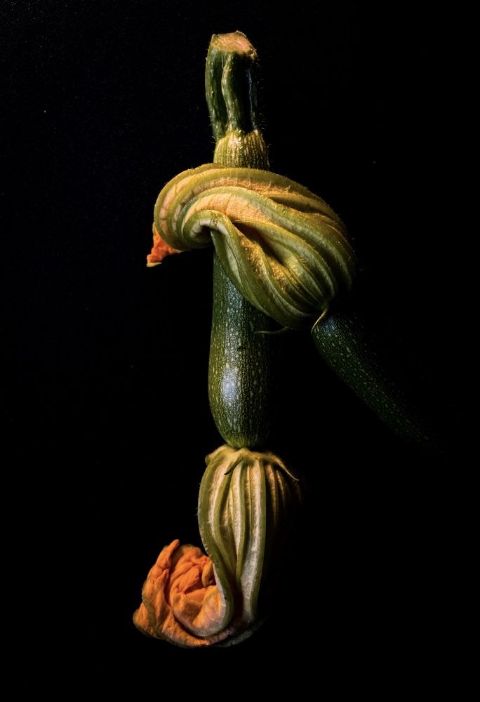 Фотография автора Рамзия Хисамутдинова