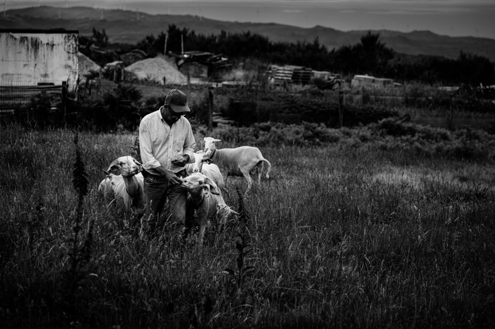 Photograph by João Versos Roldão