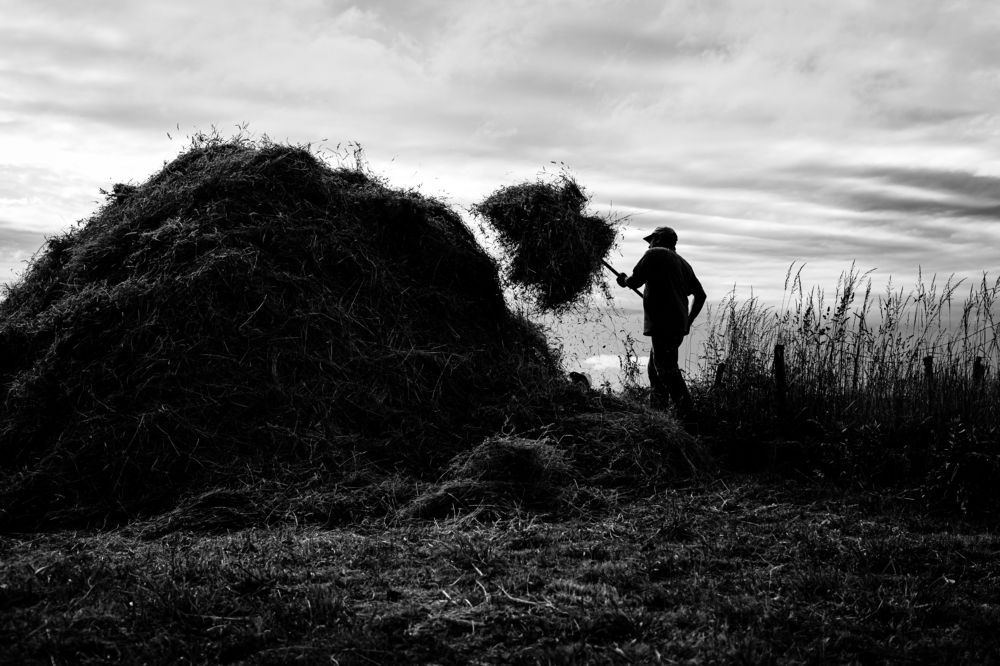 Photograph by João Versos Roldão