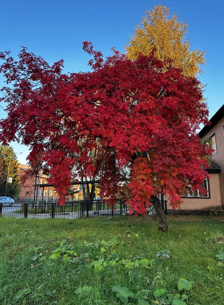 Фотография автора Яврова Татьяна