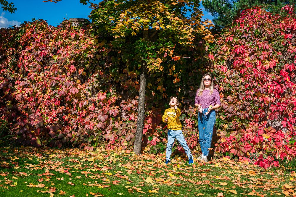Photograph by Артём Александрович