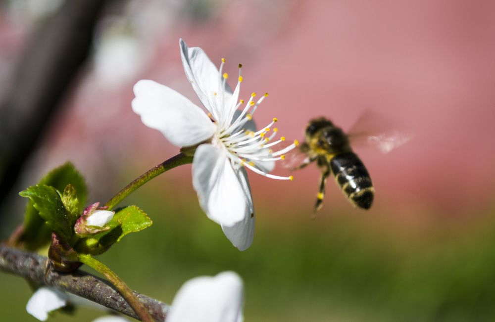 Photograph by Елизавета Большакова