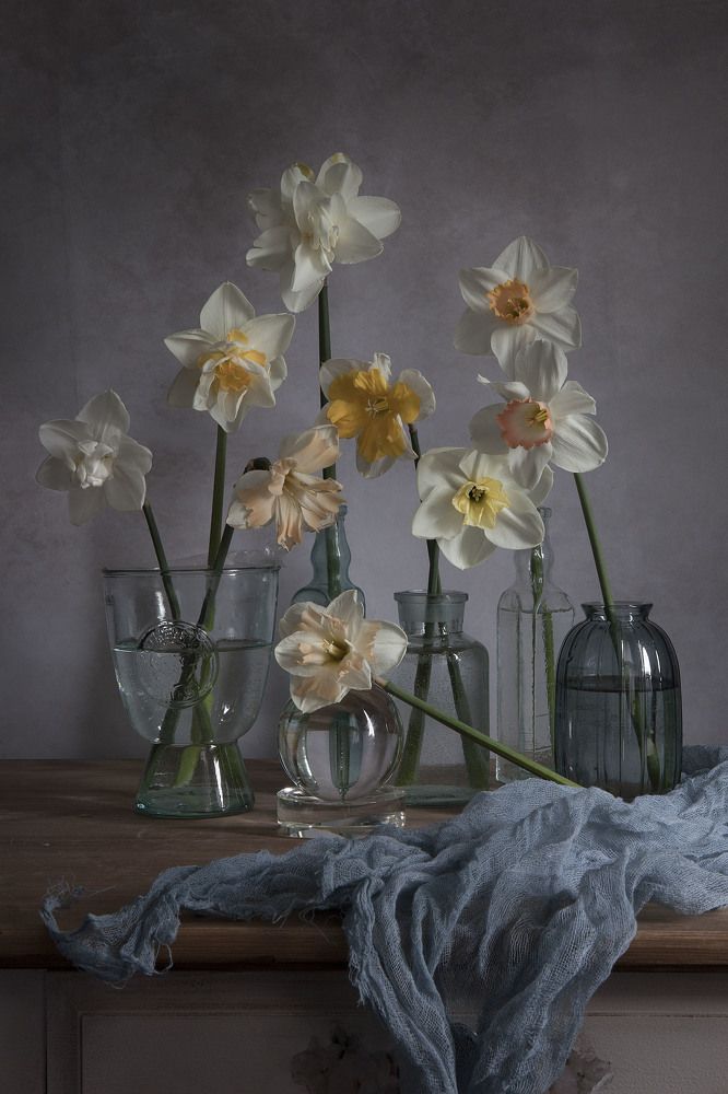 Конкурс красоты ;))