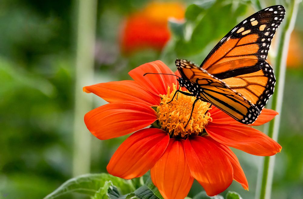 Photograph by Elaina Holland