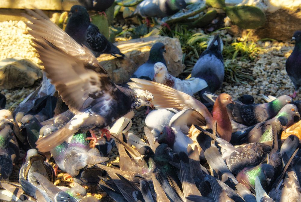 Photograph by arkadii Ануфриев